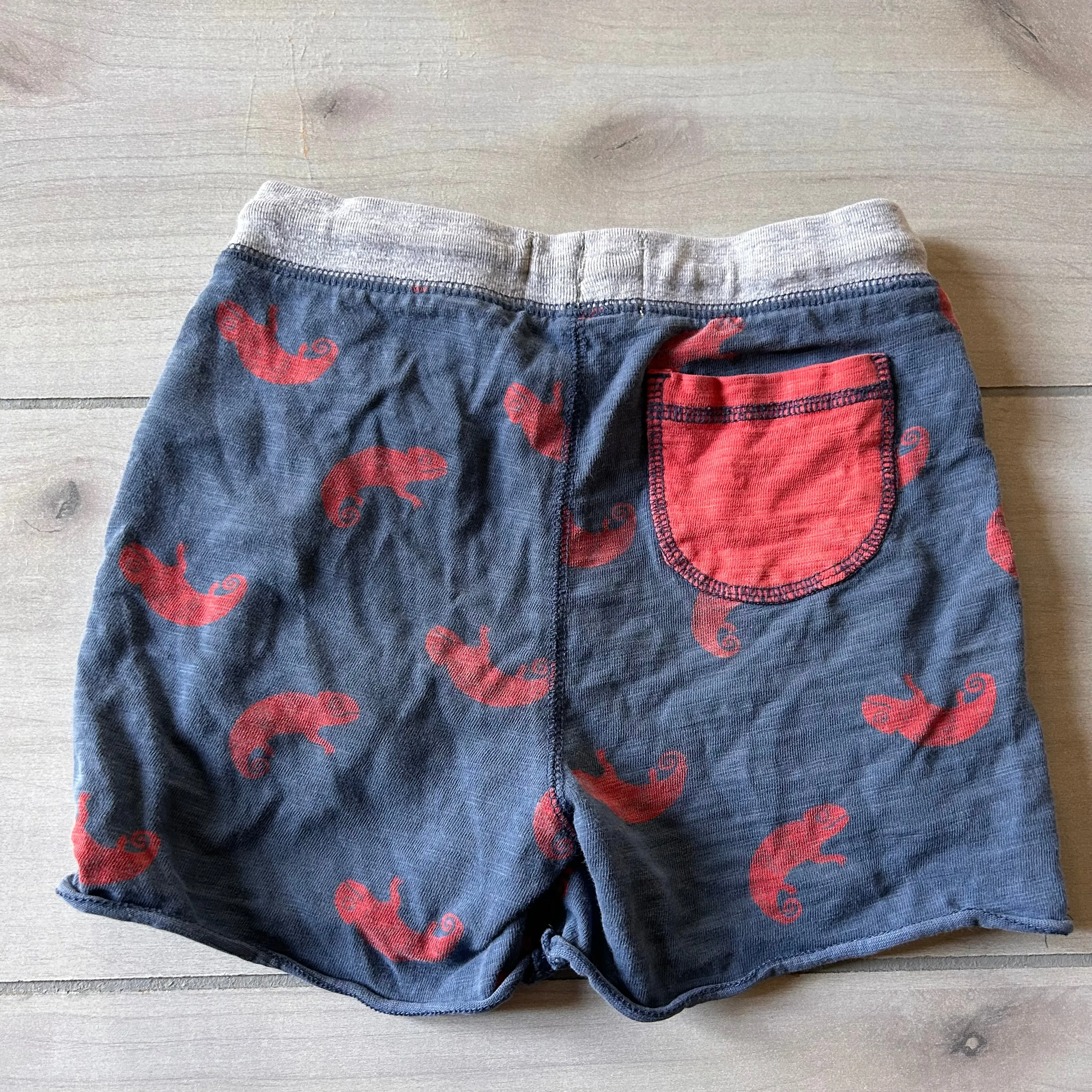 Mini Boden Iguana Shorts